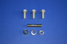Front Door Hinge Fitting Bolts (Upper or Lower) (4)