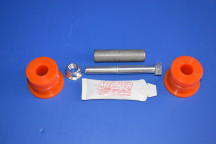 Rear Leaf Spring Pin And Bushes (1 Side)