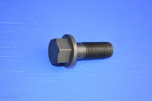 Crankshaft Pulley Bolt (Genuine)