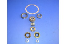 Rear Differential Bearing Overhaul Kit (Locking Type)