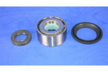 Rear Wheel Bearing Kit (1 Side)