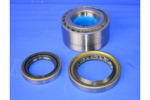 Rear Wheel Bearing Kit (1 Side)