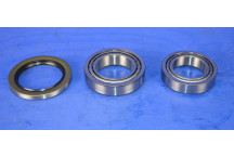 Front Wheel Bearing Kit (1 Side)