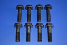 Engine Flywheel Fitting Bolt Set (8) (Manual Transmission)