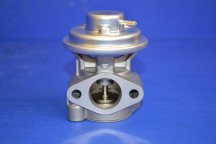 EGR Valve Genuine