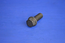 Crankshaft Pulley Bolt (Genuine)