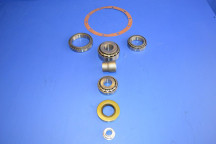 Rear Differential Bearing Overhaul Kit (Open / LSD Type)