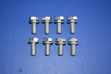Front Differential Inspection Plate Bolt Set (8)