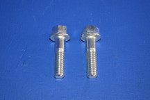 Front Brake Caliper Fitting Bolts (2)