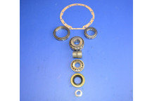 Front Differential Bearing Overhaul Kit (Locking Type)