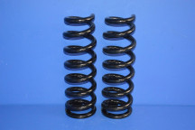 Front Coil Spring OBK (Pair)