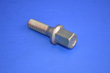 Crankshaft Pulley Bolt (Genuine)