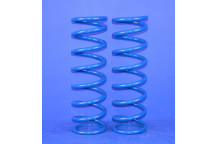 Rear Coil Spring (Pair) OBK