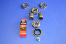 Rear Differential Bearing Overhaul Kit (Open / LSD Type)