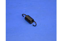 Engine Cam Idler Pulley Spring