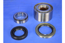 Rear Wheel Bearing Kit (1 Side)