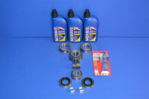 Rear Differential Bearing Overhaul Kit +Oil 3L (Open Type)