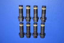 Engine Flywheel Fitting Bolt Set (8) (Manual Transmission)