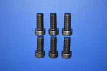 Engine Flywheel Fitting Bolt Set (6) (Manual Transmission)