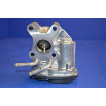 EGR Valve (Genuine)