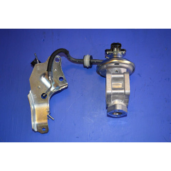 EGR Valve Genuine
