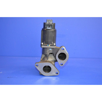 EGR Valve Genuine