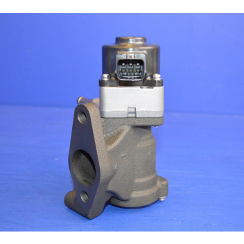 EGR Valve Genuine