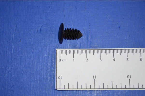 Engine Inspection Cover Push Clip (Each)