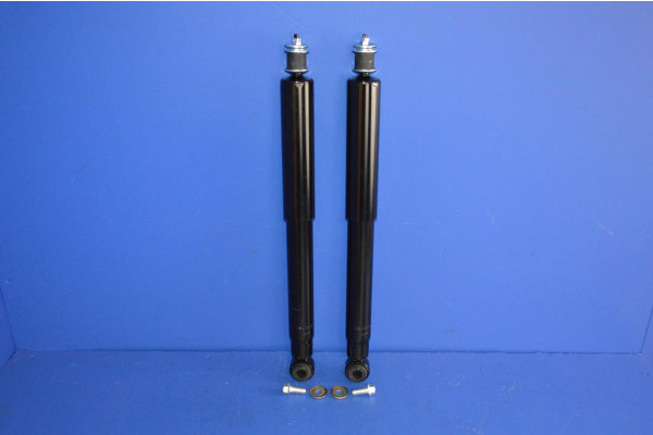 Rear Shock Absorber Kit Pair (Gas Charged)