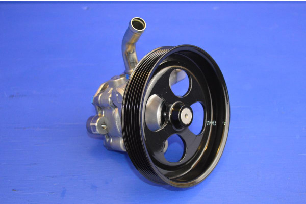 Power Steering Pump (Right or Left Hand Drive)