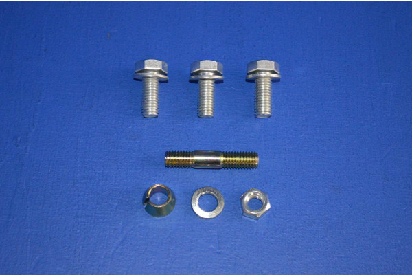 Front Door Hinge Fitting Bolts (Upper or Lower) (4)
