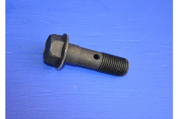 Engine Camshaft Bolt (1 Per Camshaft)