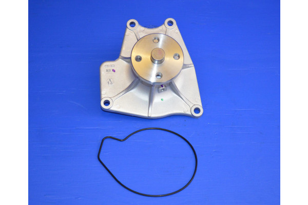 Engine Water Pump GMB (Right Hand Drive)