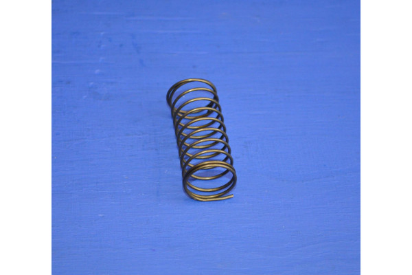Engine Rocker Shaft Spring