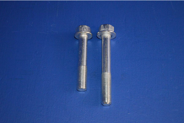 Rear Brake Caliper Fitting Bolts (1) 1 Side
