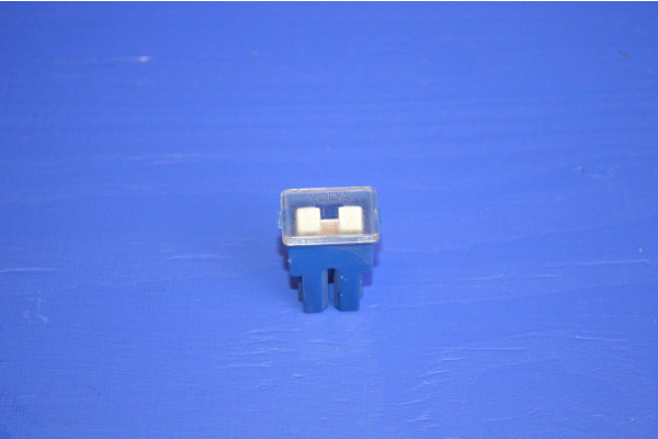 Fuse 100Amp (Female)