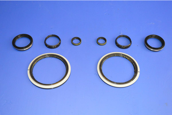 Front Swivel Housing & Wheel Bearing Seal Kit (Both Sides)