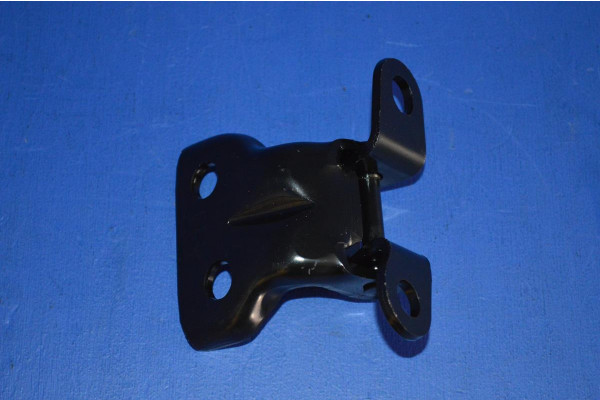 Front Door Hinge Lower L/H