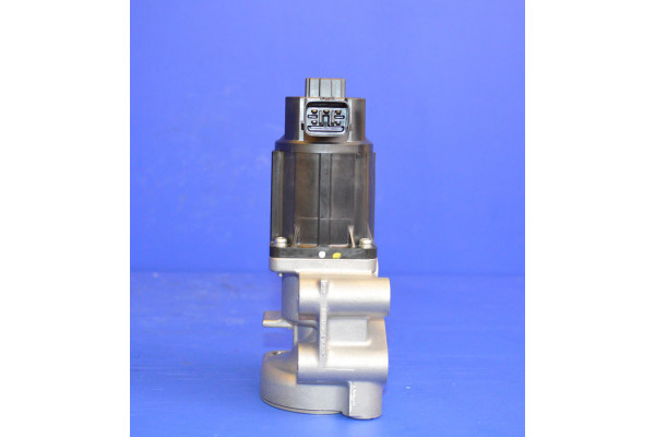 EGR Valve Genuine