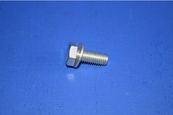 Rear Bump Stop Fitting Bolt (1)