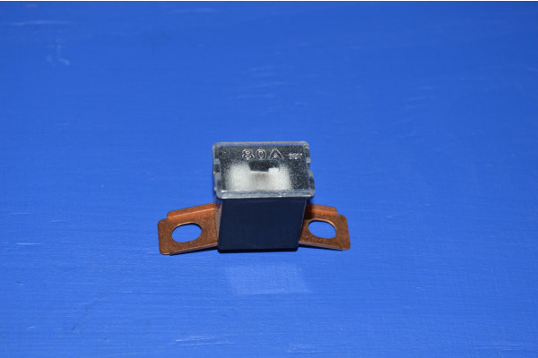 Fuse 80Amp (Male-Right Angle)