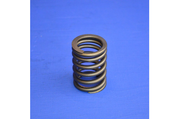 Engine Valve Spring (Each)