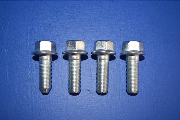 Front Wheel Bearing Assembly Fitting Bolts (4) (1 Side)