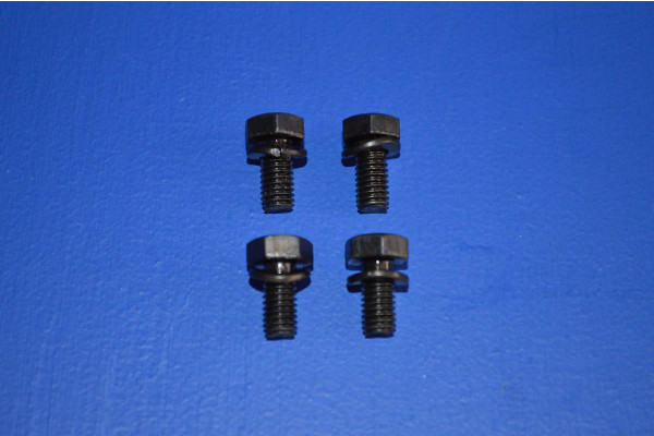 Front Brake Backing Plate Fitting Bolt Kit (4)