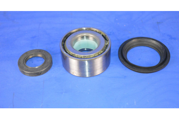 Rear Wheel Bearing Kit (1 Side)