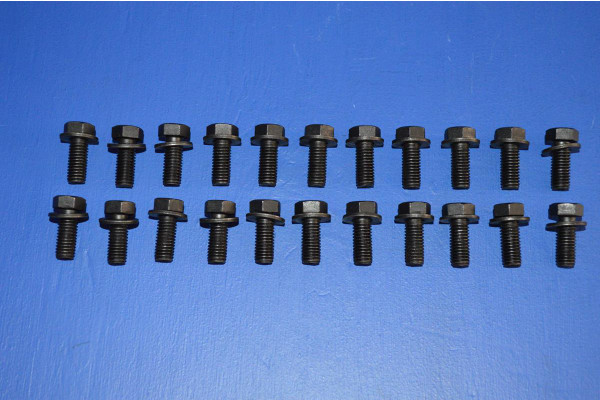 Engine Sump Bolt Fitting Set (22)