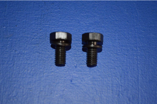 Door Check Strap Fitting Bolts (2)