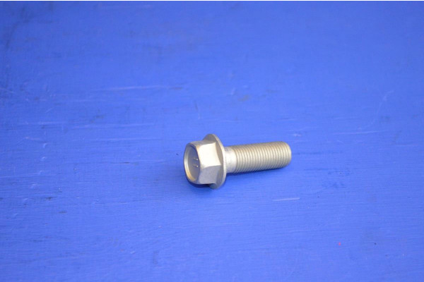Front Brake Caliper Fitting Bolt (Each) 2 Per Caliper