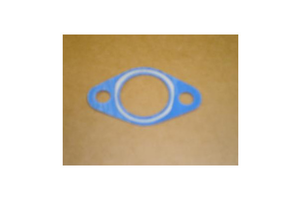 Engine Timing chain Tensioner Gasket