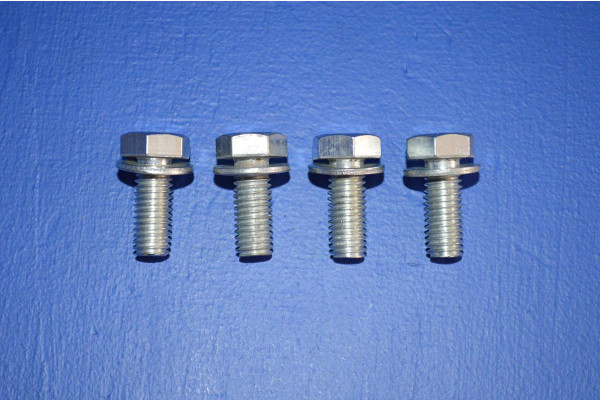 Door Hinge Fitting Bolts (4)